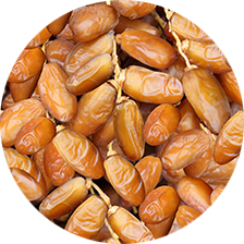 دقلة نور
