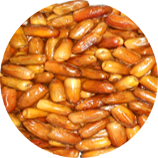 كنتة