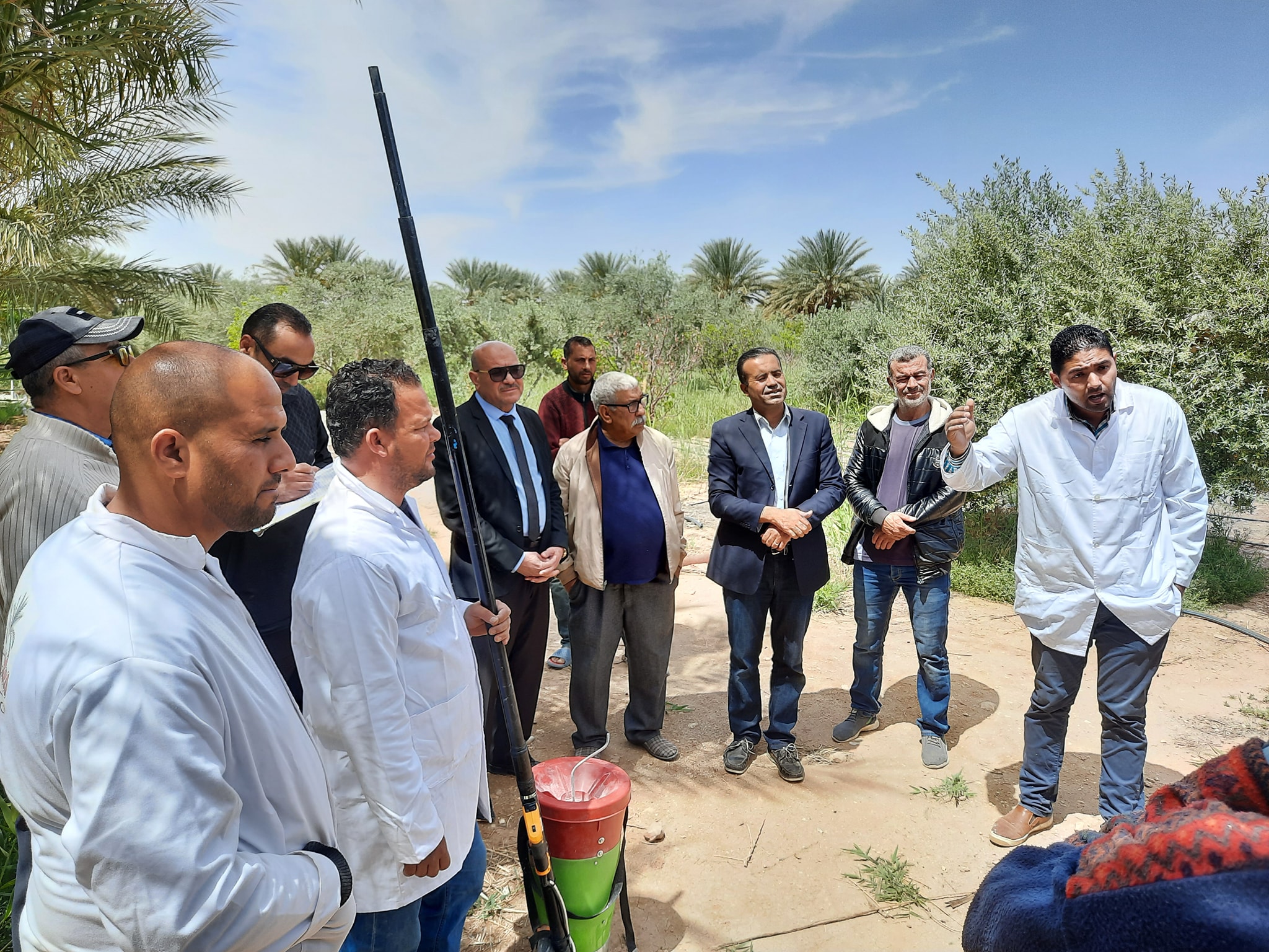 مدارس حقلية حول التلقيح الآلي للنخيل بتوزر و قفصة موسم 2022